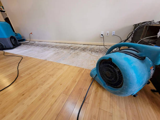 Professional Water Removal technician working in Troy, SC